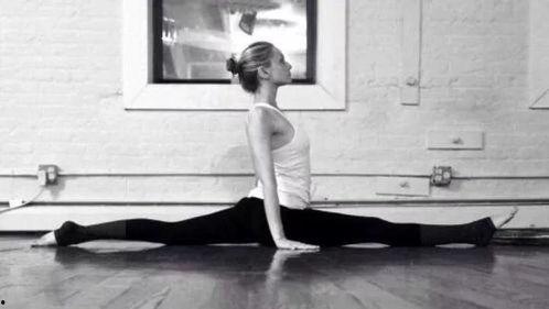 成人打胯视频大全集,成人打胯技巧与动作大全集