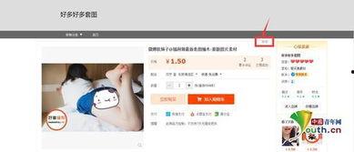 在线成人段视频网站,暗流涌动的虚拟世界