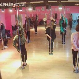 跳舞成人单人视频大全集,精选成人单人舞蹈视频集锦