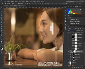 成人室内写真图片欣赏视频,成人视觉盛宴