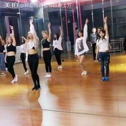 成人教跳舞的视频软件