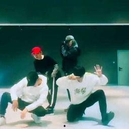 成人教跳舞的视频软件