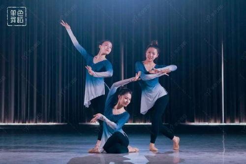 新天乐成人舞蹈视频,轻松入门,舞动身心新体验