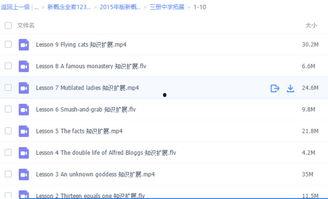 国外成人123视频教程,实用技巧与注意事项解析