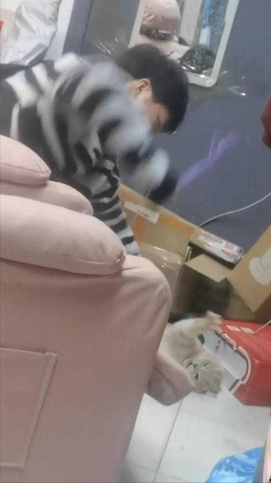 成人如何裹毯子视频讲解,温馨保暖的居家必备指南