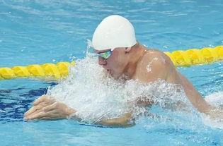 蛙泳成人初学者视频,跟随视频轻松掌握蛙泳技巧