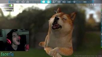 动画小浣熊变成人的视频,变身人间的奇幻之旅