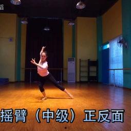 综艺成人舞蹈视频网,综艺成人舞蹈视频网带你领略舞蹈魅力