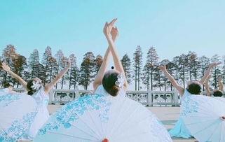 彝族舞蹈成人舞考级视频,传承民族韵律，展现青春风采