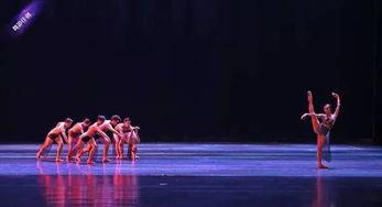 彝族舞蹈成人舞考级视频,传承民族韵律,展现青春风采