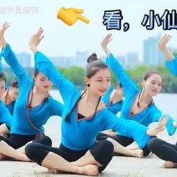 成人舞蹈中国舞大气视频,展现中国舞大气魅力